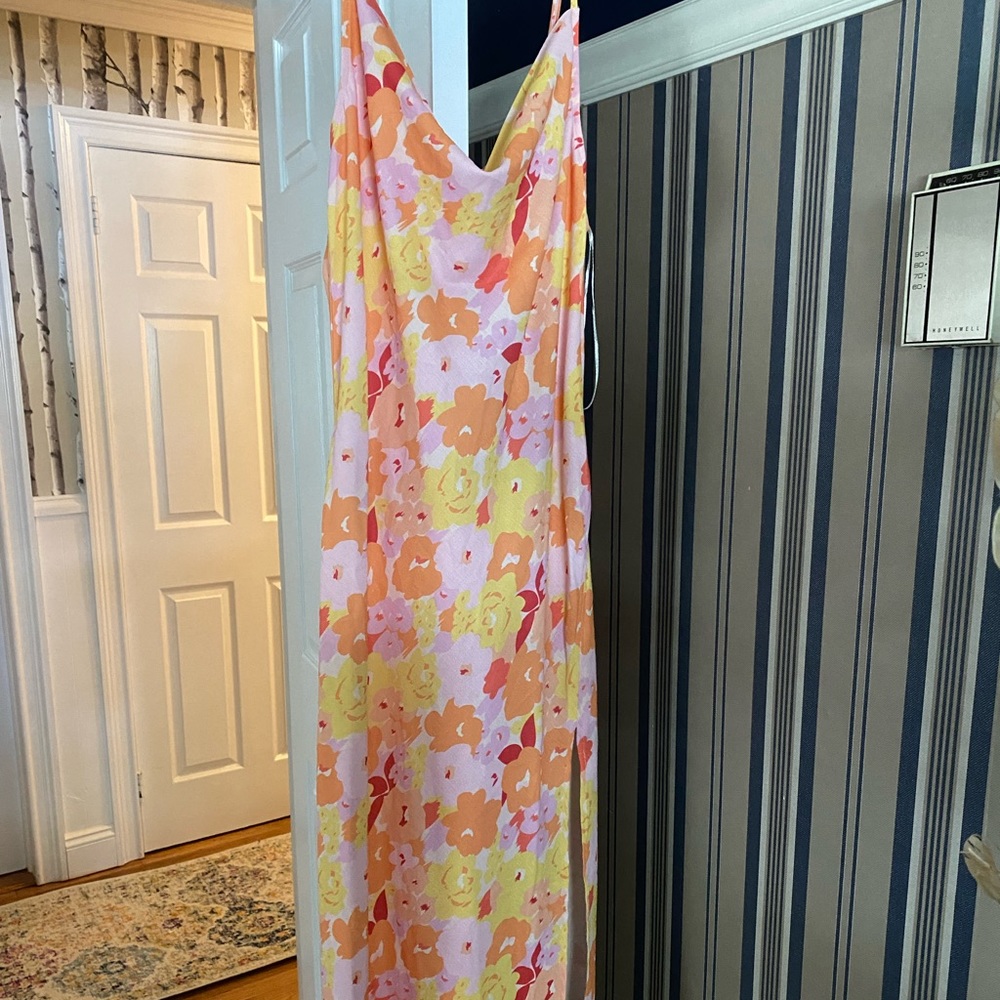 Petal and Pup Midi Dress